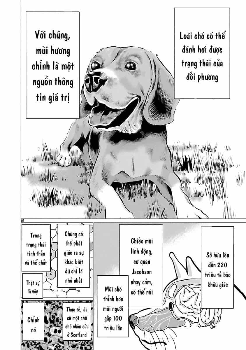 Killing Bites - Chương 37 - ảnh 17