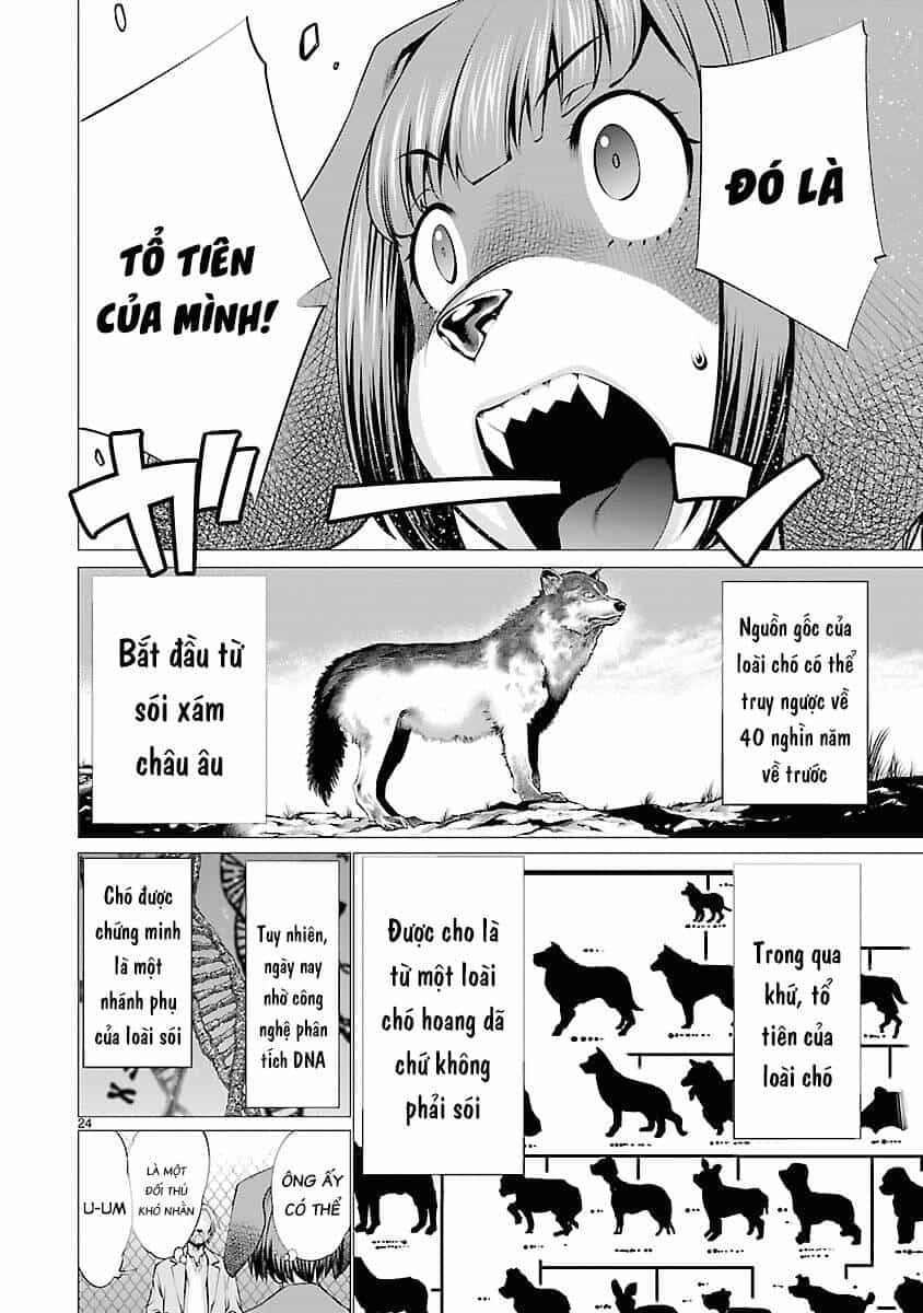 Killing Bites - Chương 37 - ảnh 25
