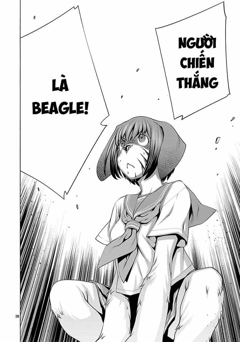 Killing Bites - Chương 38 - ảnh 41