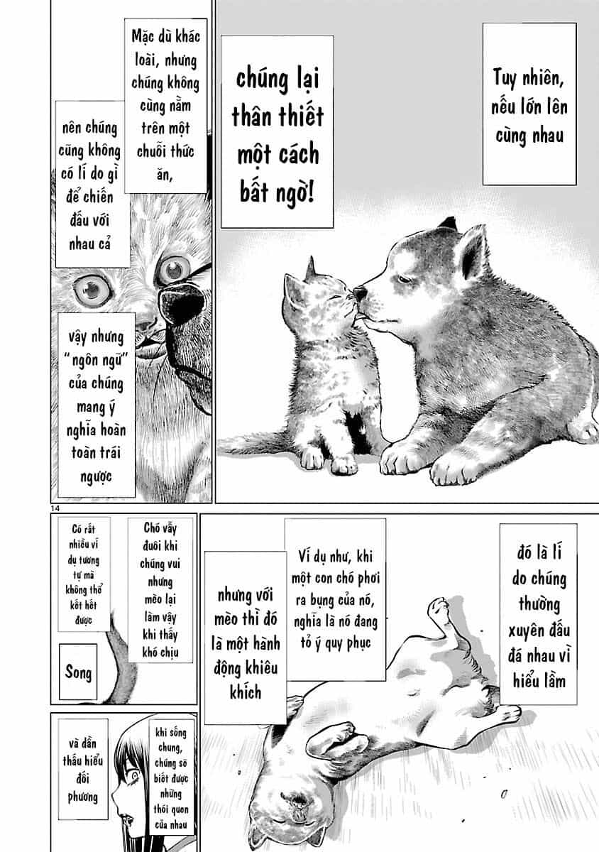 Killing Bites - Chương 39 - ảnh 17