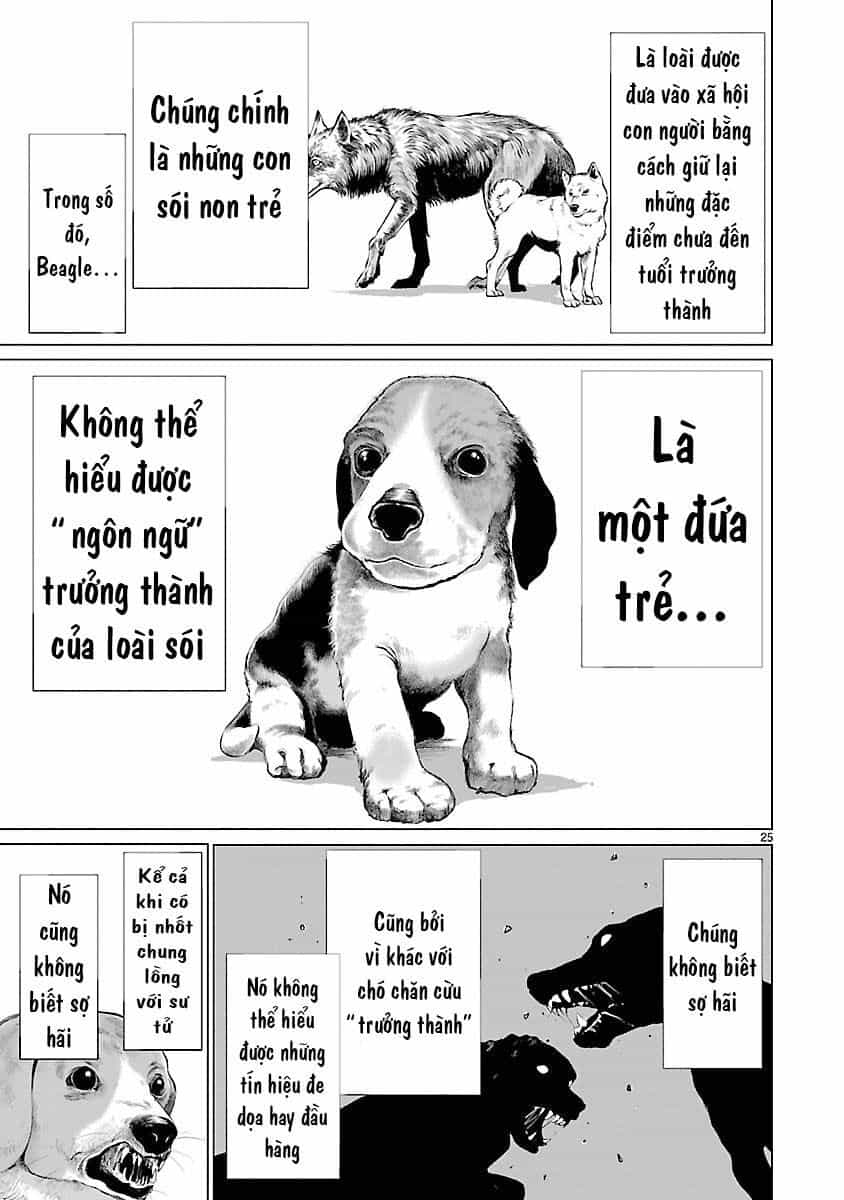 Killing Bites - Chương 39 - ảnh 28