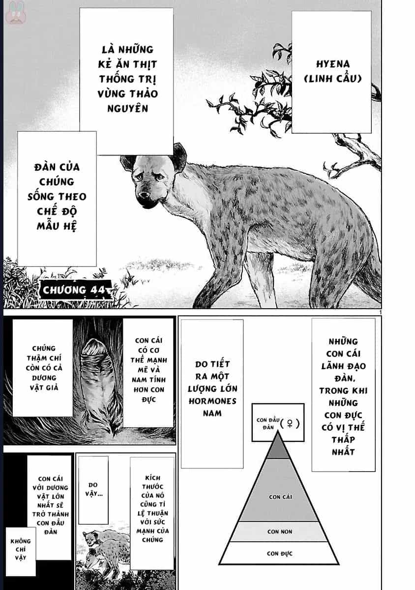 Killing Bites - Chương 44 - ảnh 5