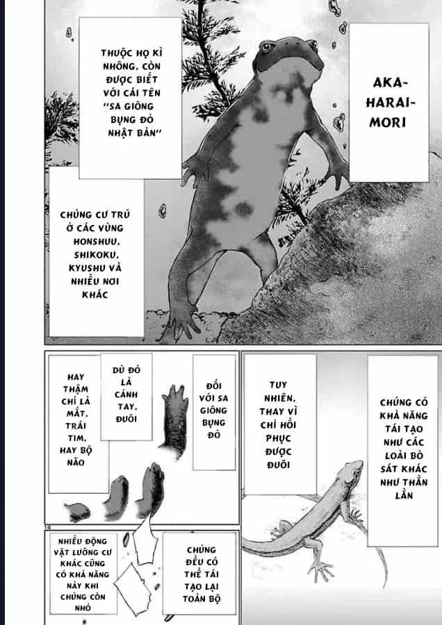 Killing Bites - Chương 46 - ảnh 20