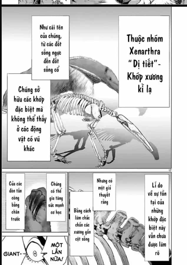 Killing Bites - Chương 50 - ảnh 16