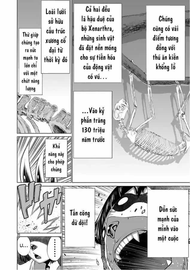 Killing Bites - Chương 52 - ảnh 19