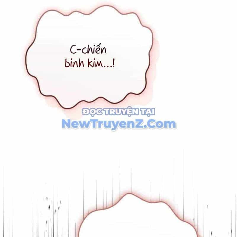 Kim Chiến Sĩ: Hành Trình Xây Dựng Đặc Tính - Chương 40 - ảnh 152