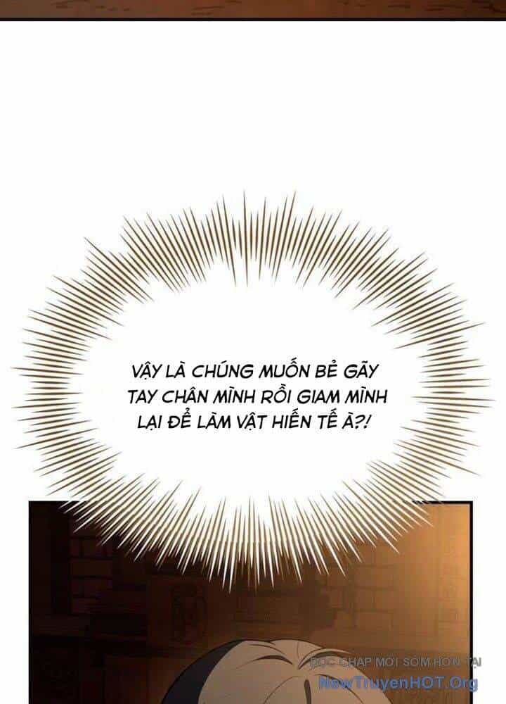 Kim Chiến Sĩ: Hành Trình Xây Dựng Đặc Tính - Chương 45 - ảnh 79