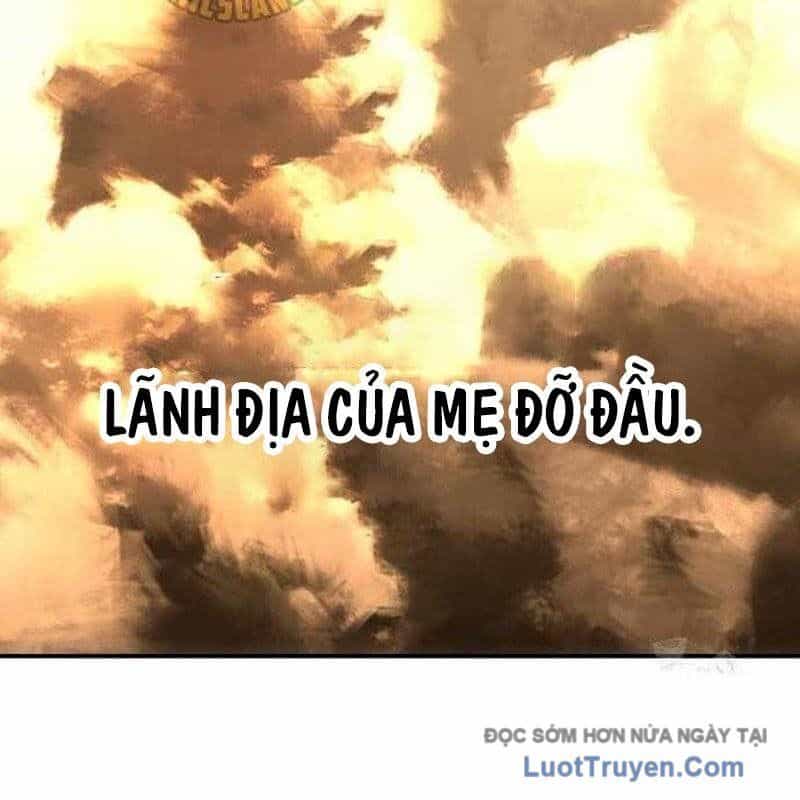 Kim Chiến Sĩ: Hành Trình Xây Dựng Đặc Tính - Chương 57 - ảnh 163