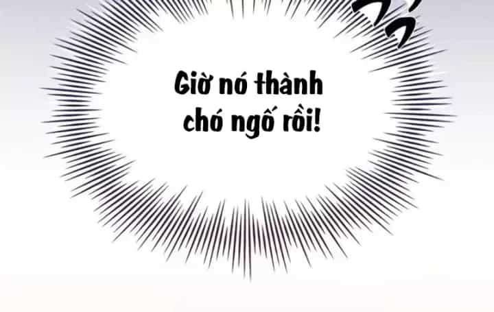 Kim Chiến Sĩ: Hành Trình Xây Dựng Đặc Tính - Chương 85 - ảnh 262
