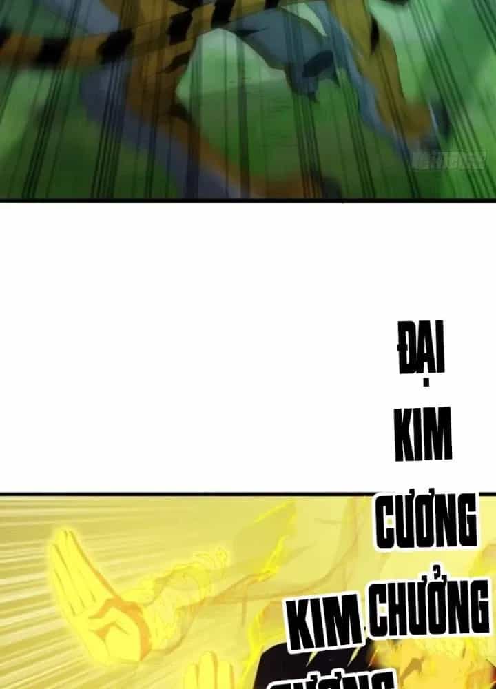 Kim Cương Bất Hoại Đại Trại Chủ - Chương 17 - ảnh 93