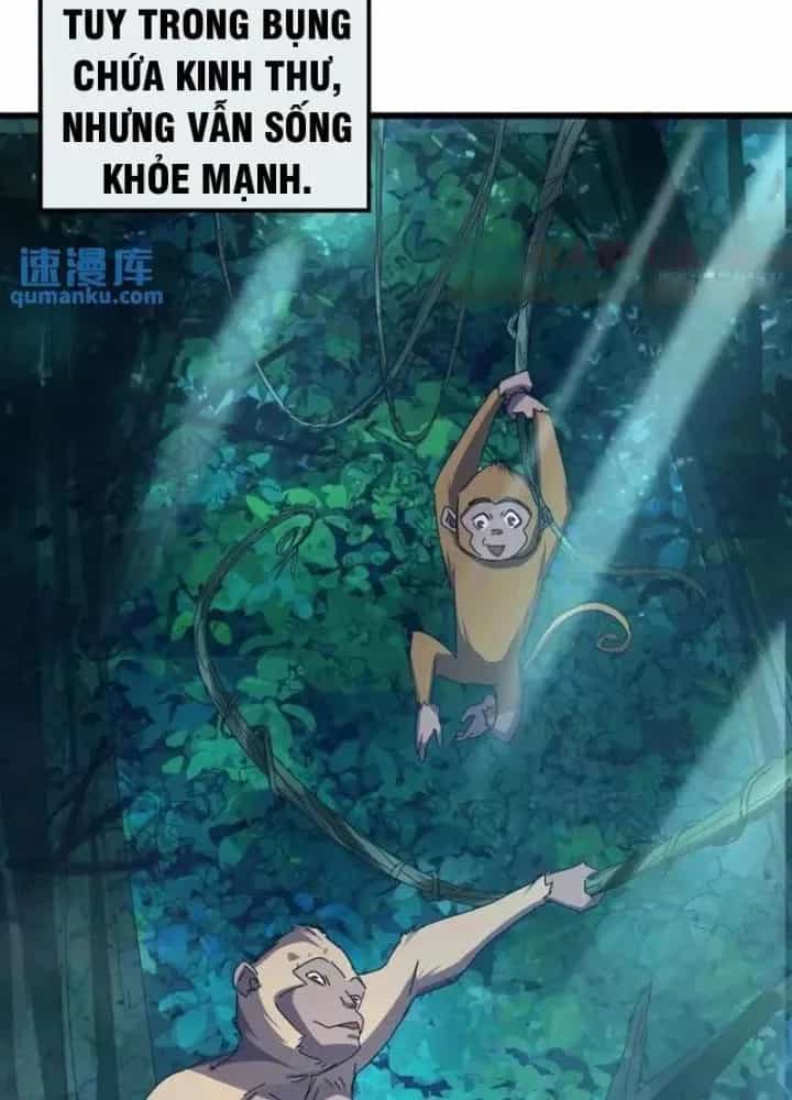 Kim Cương Bất Hoại Đại Trại Chủ - Chương 42 - ảnh 19