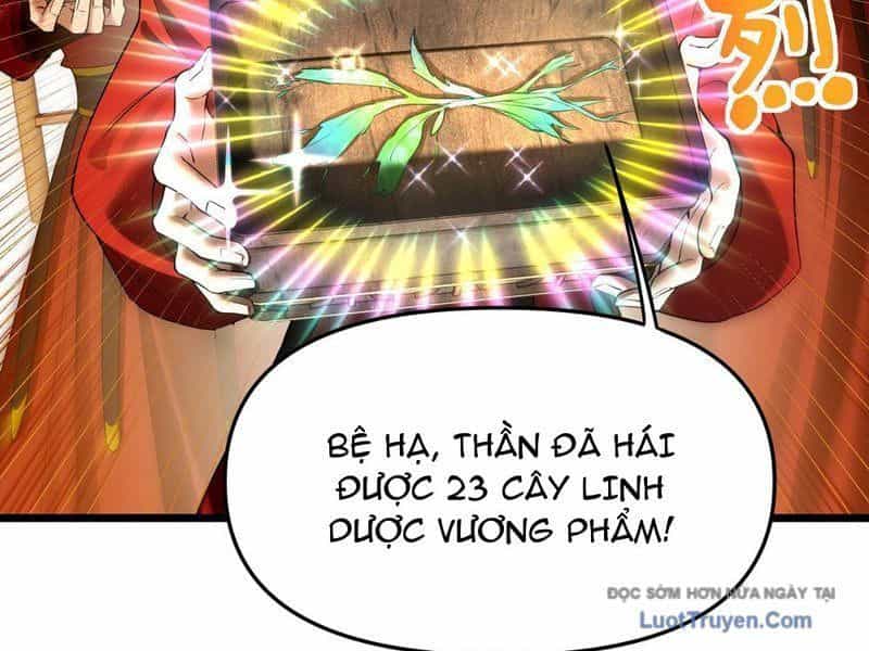 Kim Đan To Bằng Hằng Tinh! Ngươi Gọi Đây Mà Là Tu Tiên Á?! - Chương 8 - ảnh 56