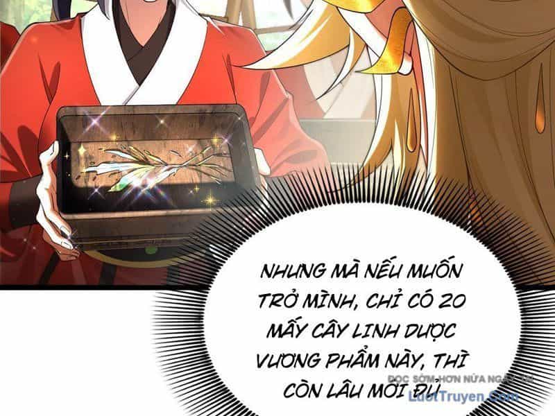 Kim Đan To Bằng Hằng Tinh! Ngươi Gọi Đây Mà Là Tu Tiên Á?! - Chương 8 - ảnh 61