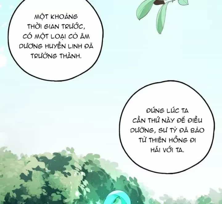 Là Thánh Hoàng Chính Đạo, Ta Cưới Ma Tôn Tà Đạo？！ - Chương 84 - ảnh 19