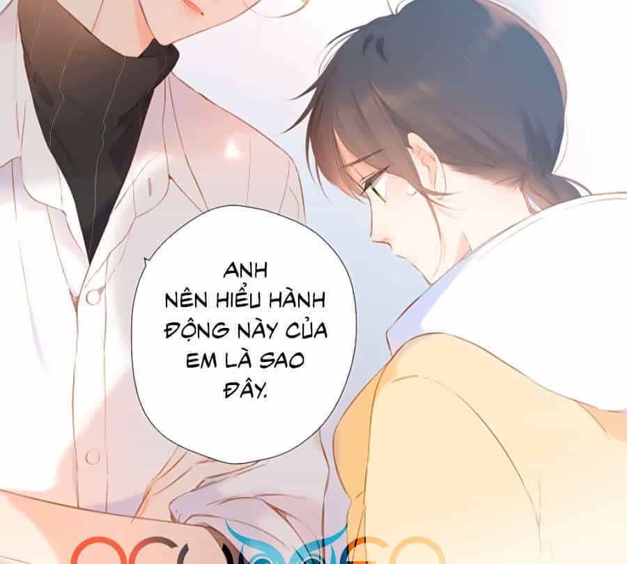 Lại Gặp Được Em - Chương 88 - ảnh 11