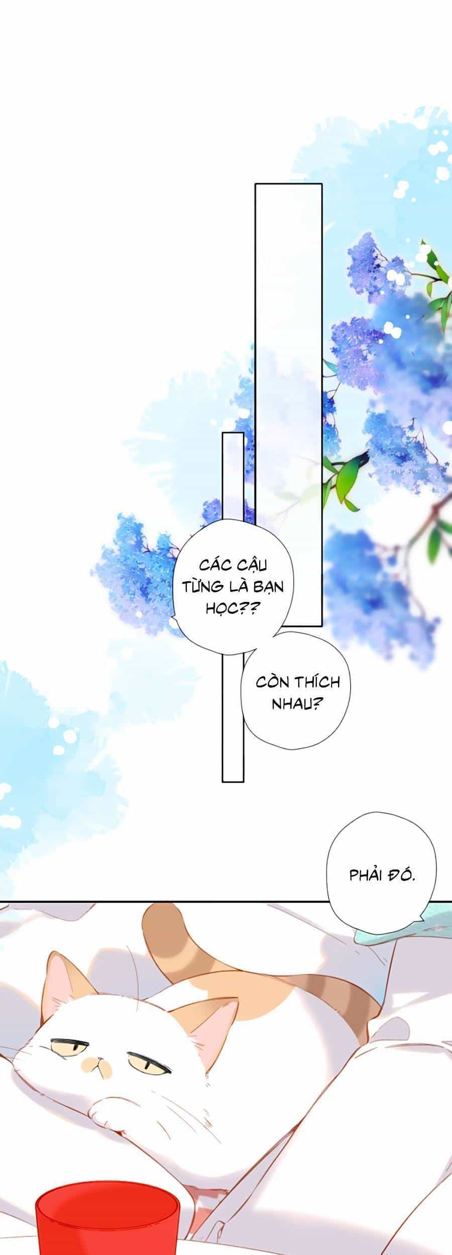 Lại Gặp Được Em - Chương 116 - ảnh 2