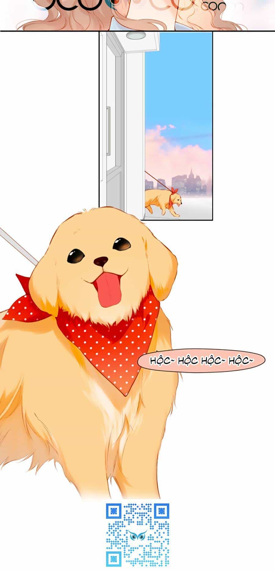 Lại Gặp Được Em - Chương 133 - ảnh 20