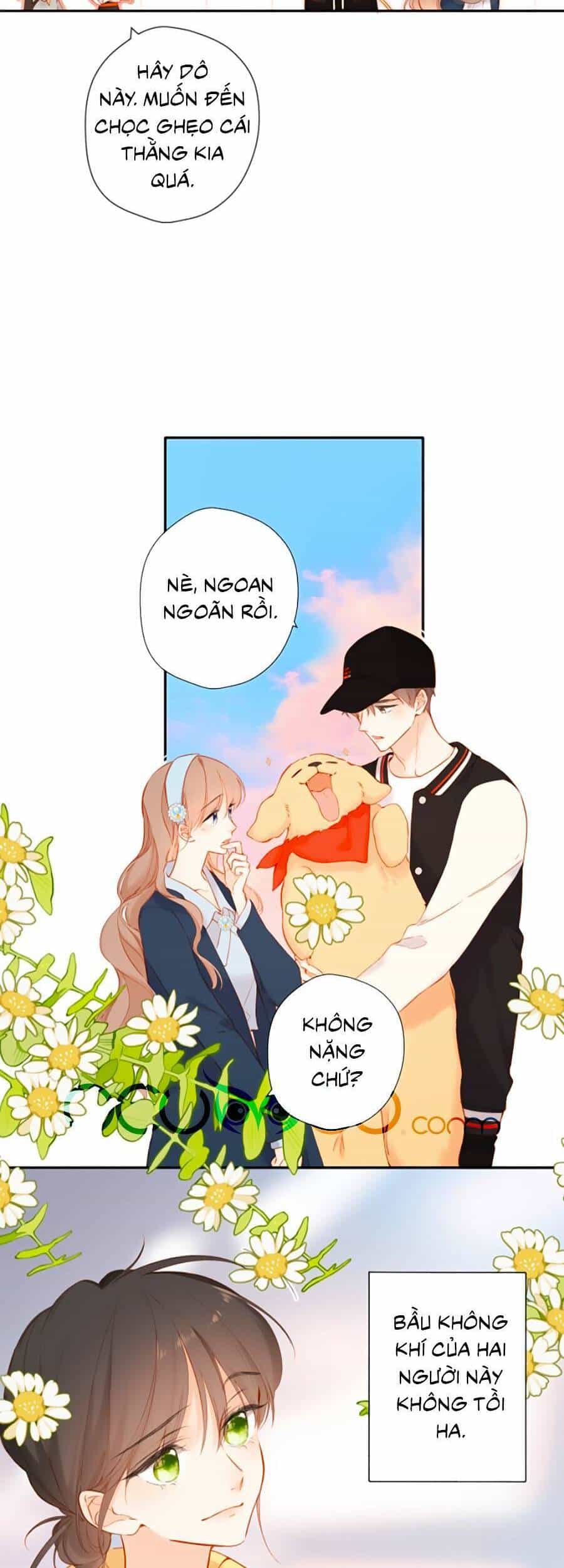 Lại Gặp Được Em - Chương 134 - ảnh 13