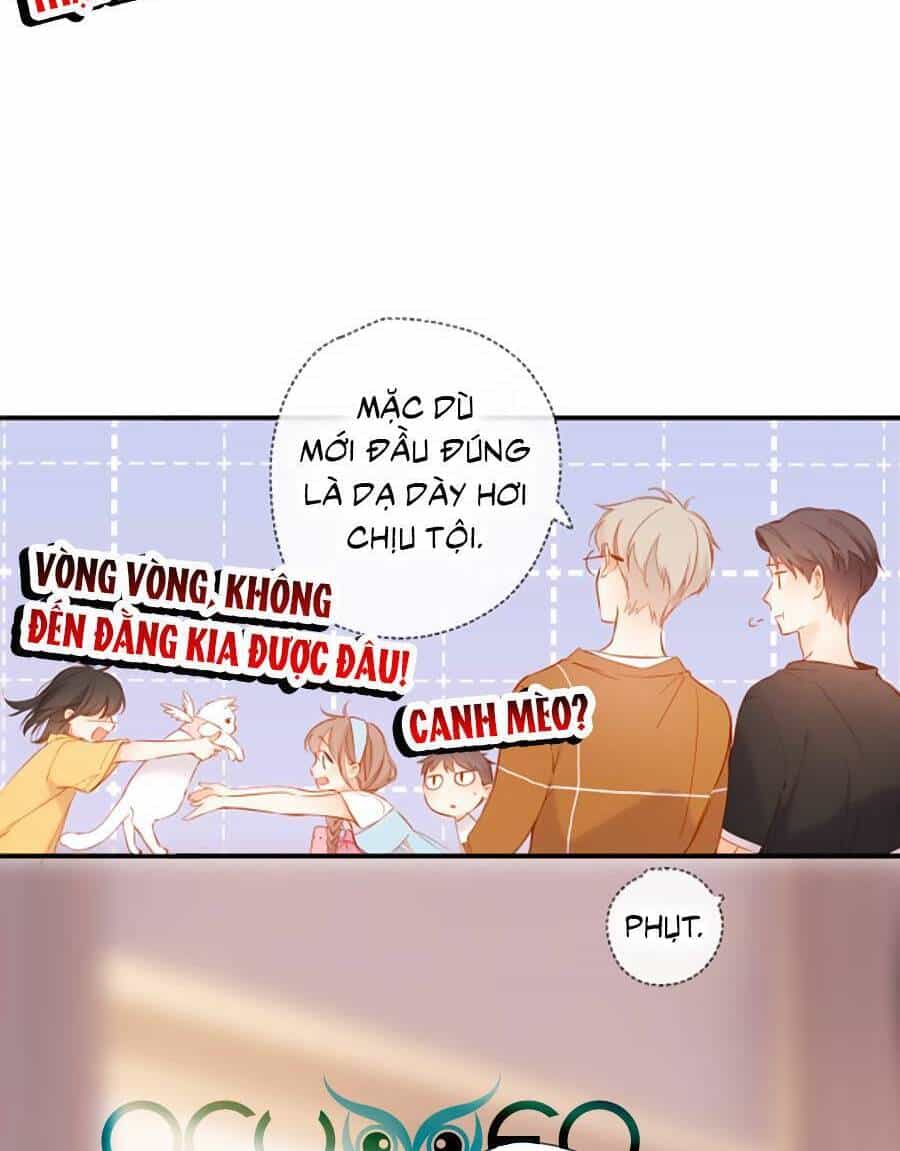 Lại Gặp Được Em - Chương 141 - ảnh 15