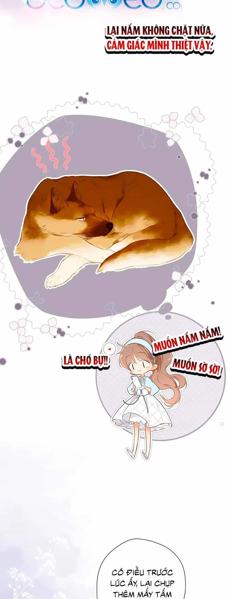 Lại Gặp Được Em - Chương 148.9 - ảnh 21