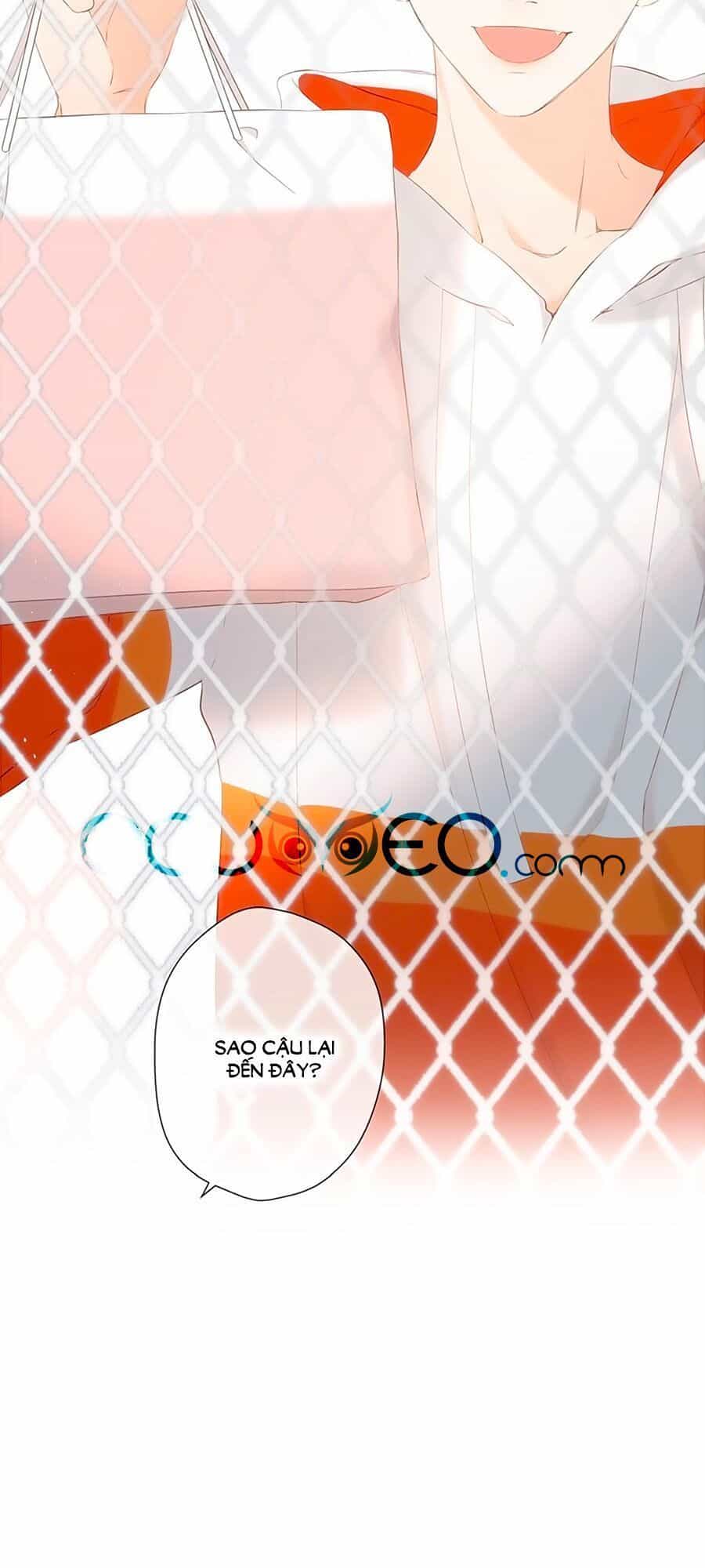 Lại Gặp Được Em - Chương 19 - ảnh 24