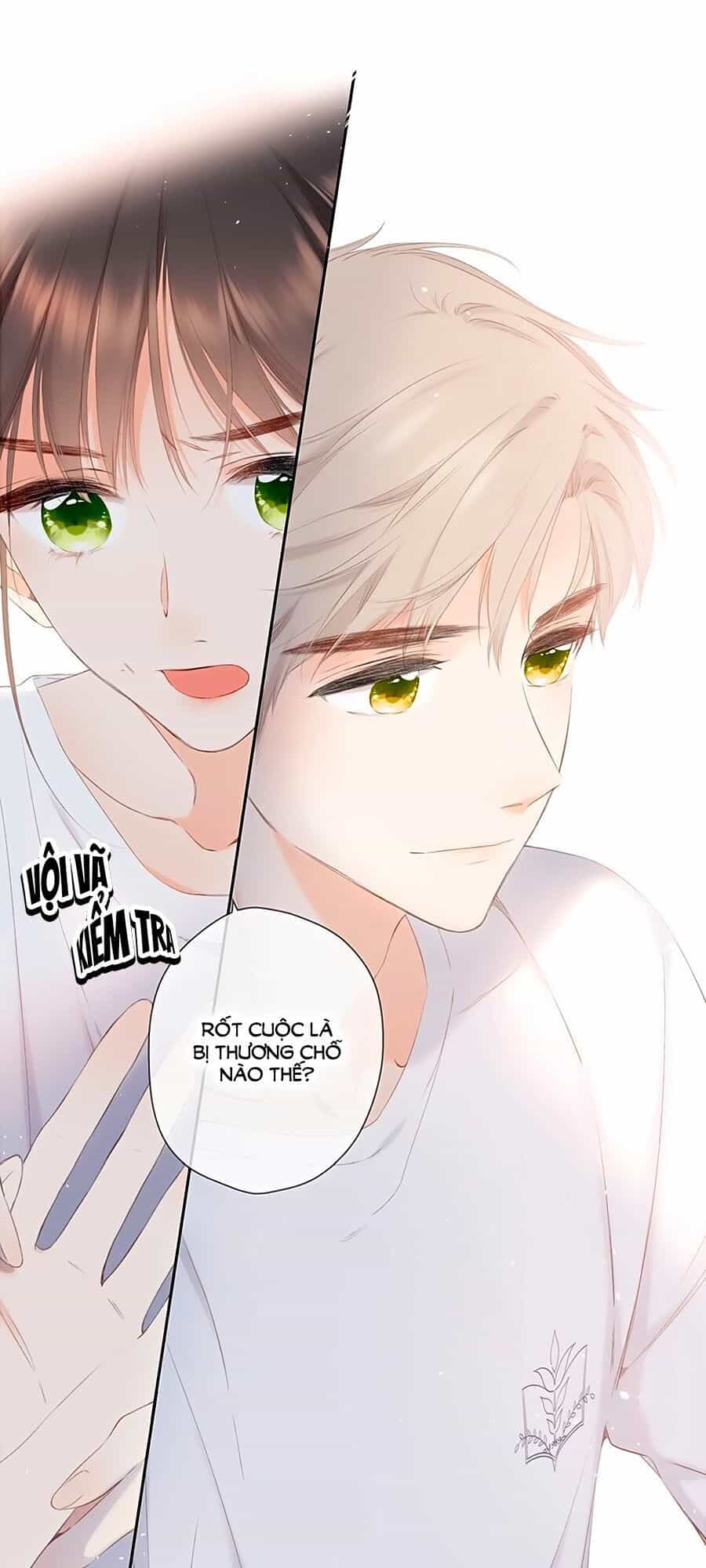 Lại Gặp Được Em - Chương 21 - ảnh 16