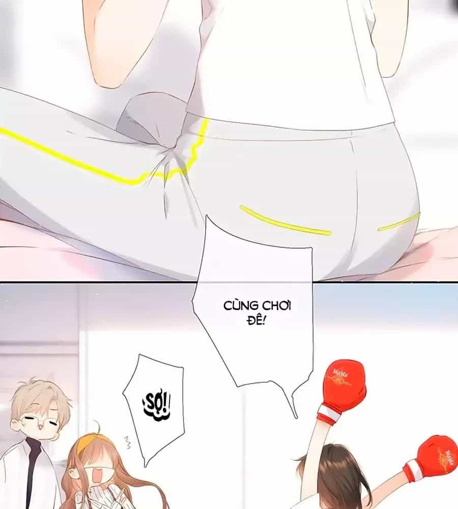 Lại Gặp Được Em - Chương 29 - ảnh 38