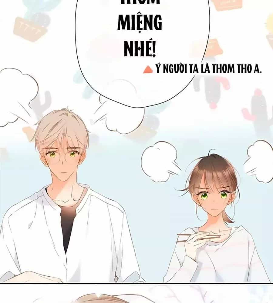 Lại Gặp Được Em - Chương 34 - ảnh 45