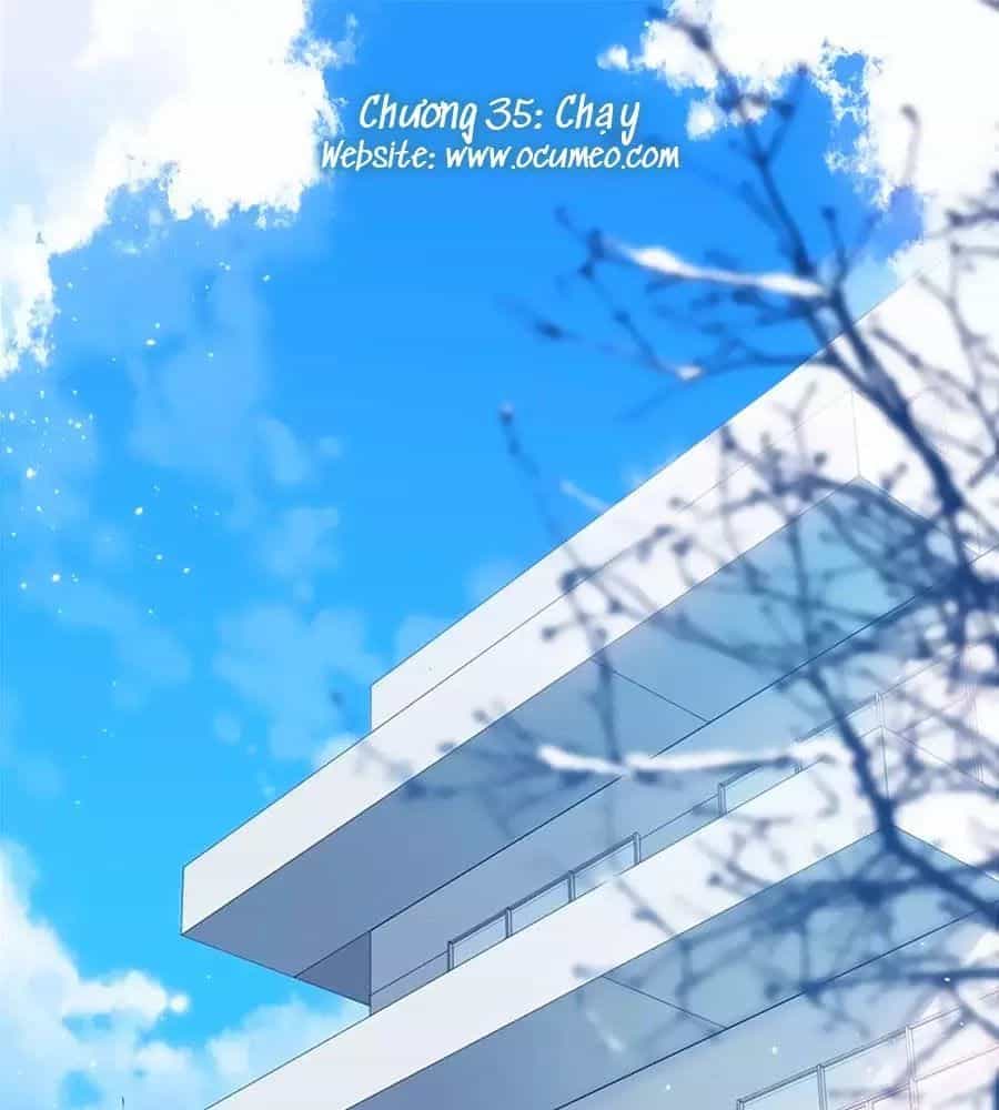 Lại Gặp Được Em - Chương 35 - ảnh 1