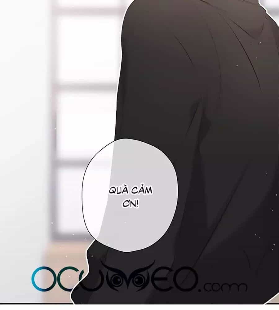 Lại Gặp Được Em - Chương 41 - ảnh 65