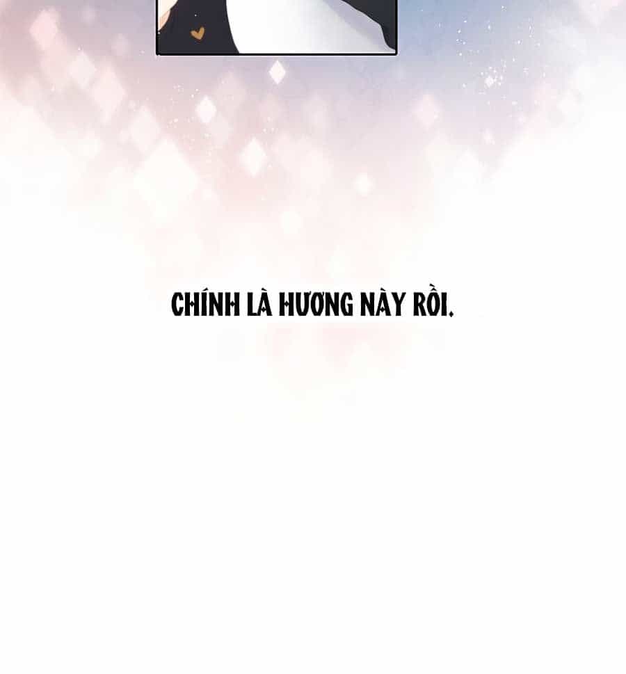 Lại Gặp Được Em - Chương 44.5 - ảnh 14