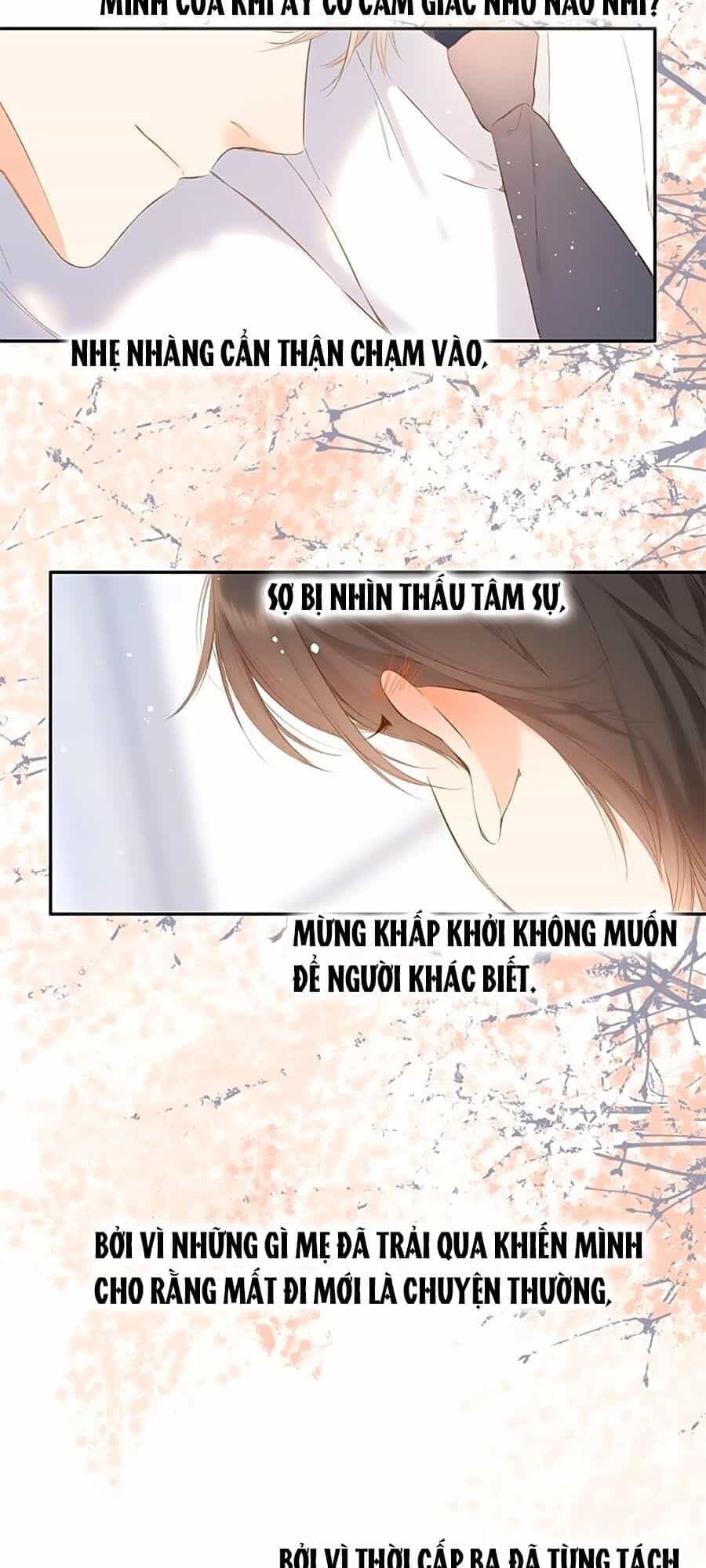 Lại Gặp Được Em - Chương 52 - ảnh 20