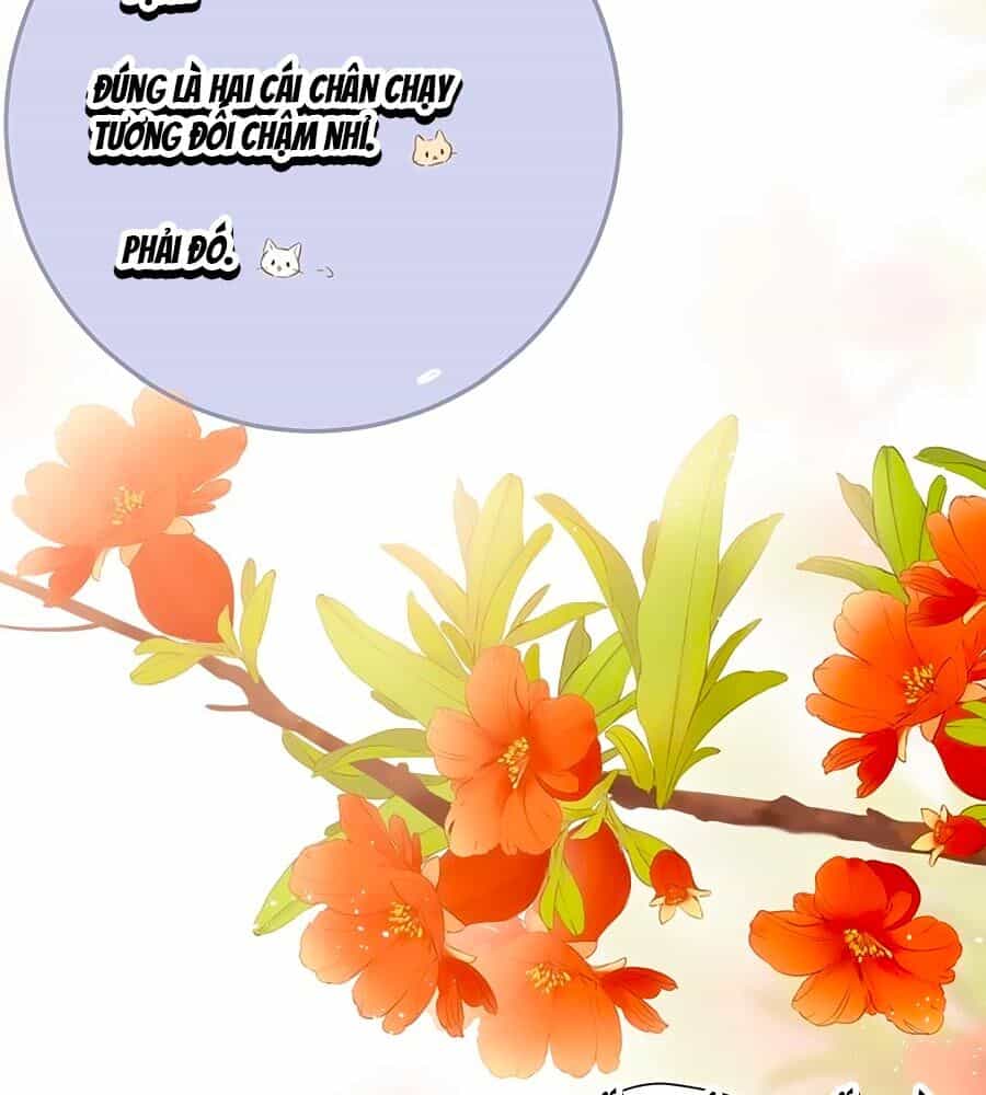 Lại Gặp Được Em - Chương 54.5 - ảnh 10