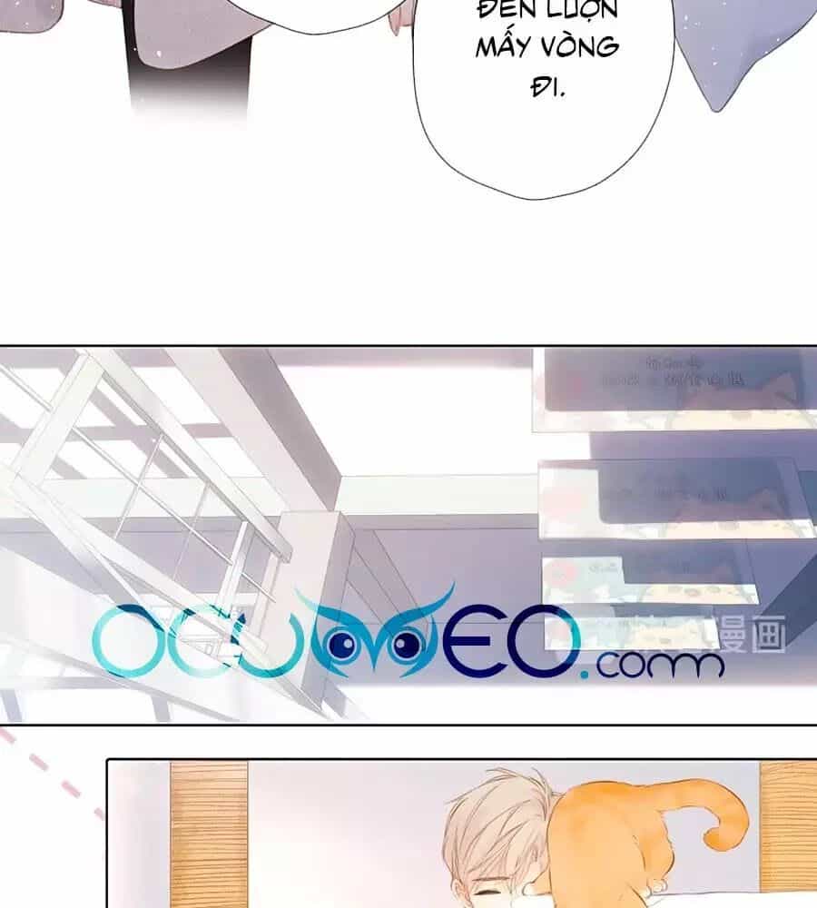 Lại Gặp Được Em - Chương 60 - ảnh 21