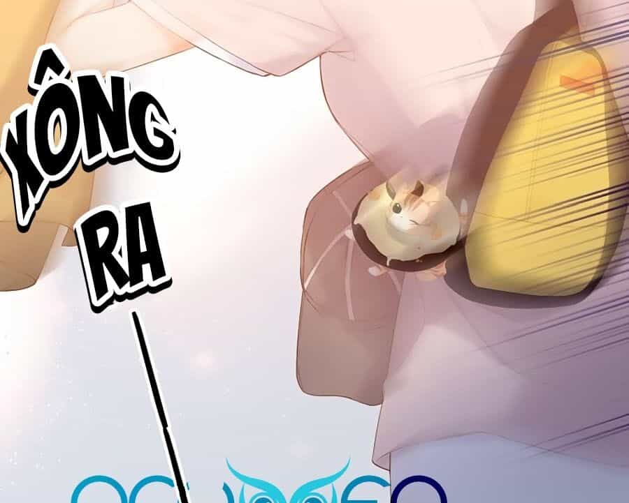 Lại Gặp Được Em - Chương 68 - ảnh 27