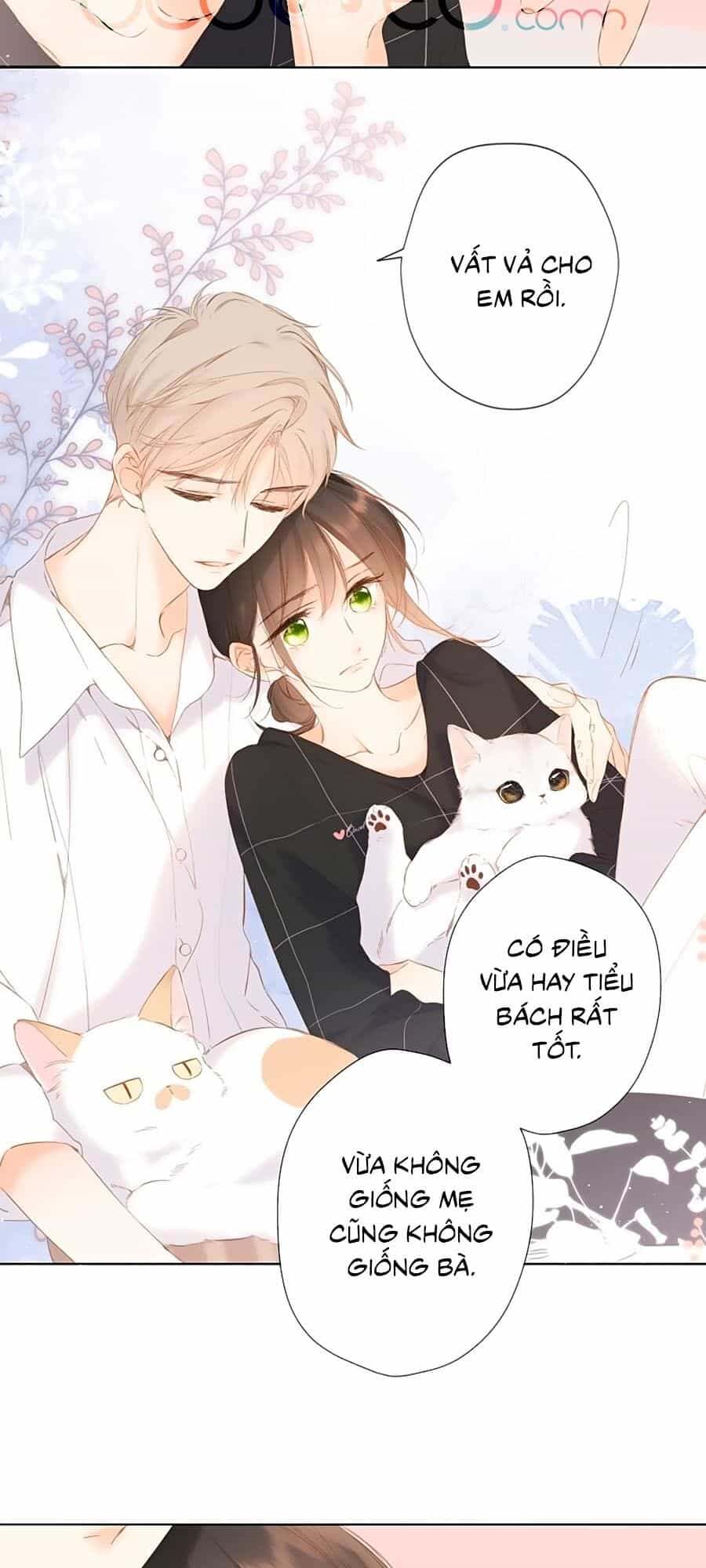 Lại Gặp Được Em - Chương 69 - ảnh 17