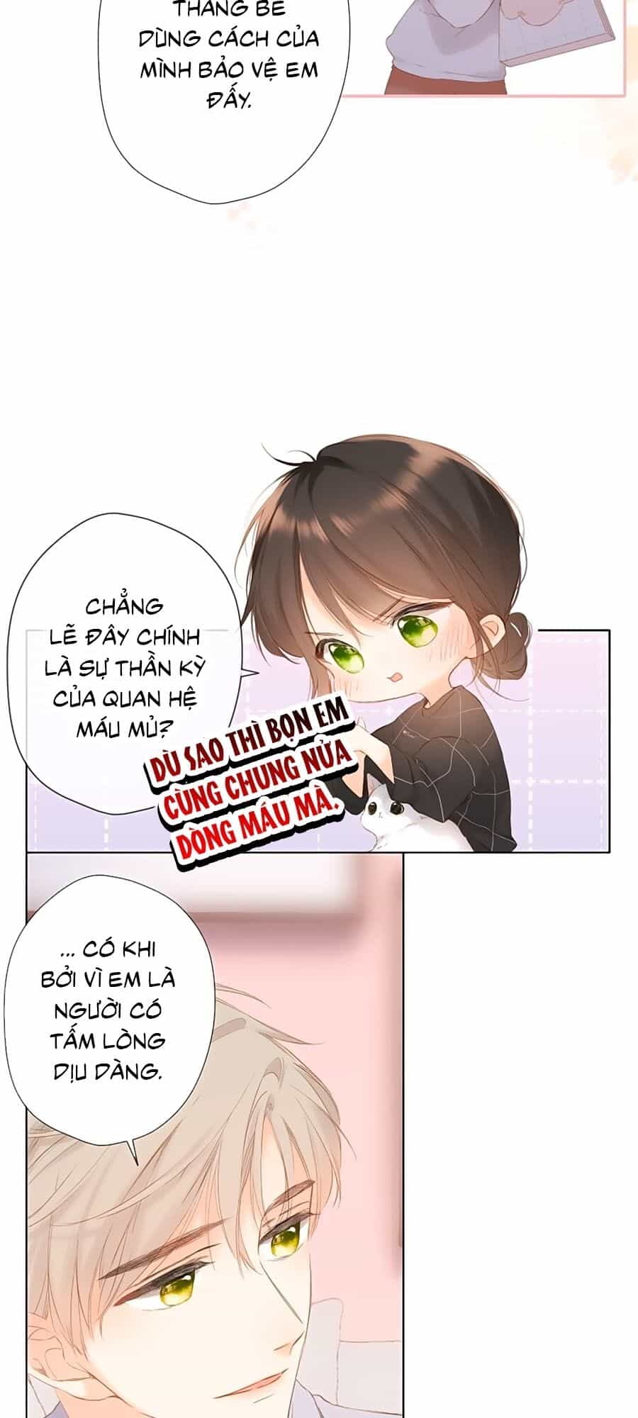 Lại Gặp Được Em - Chương 69 - ảnh 22