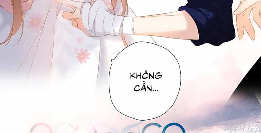Lại Gặp Được Em - Chương 73 - ảnh 20