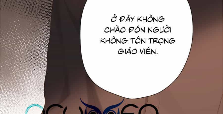 Lại Gặp Được Em - Chương 80 - ảnh 25