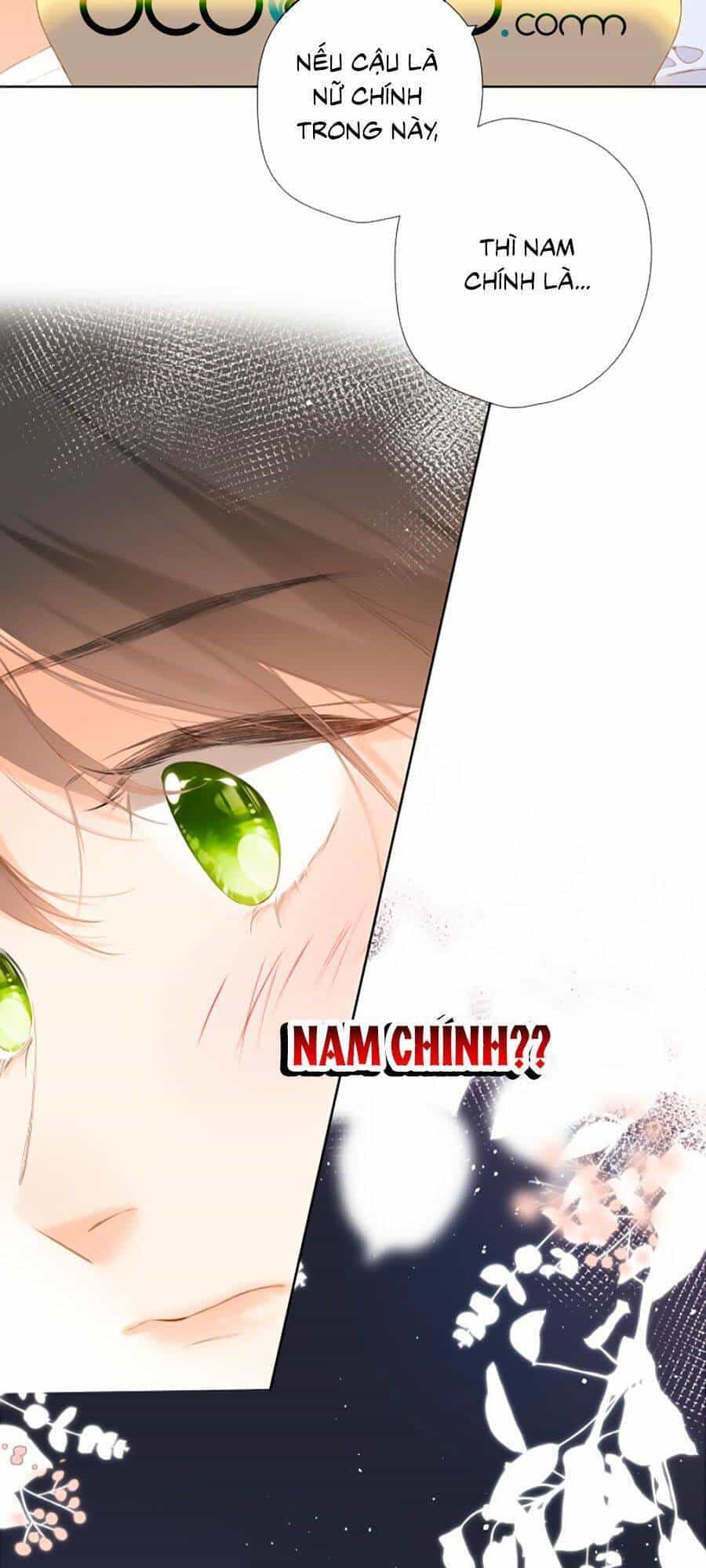 Lại Gặp Được Em - Chương 85 - ảnh 11