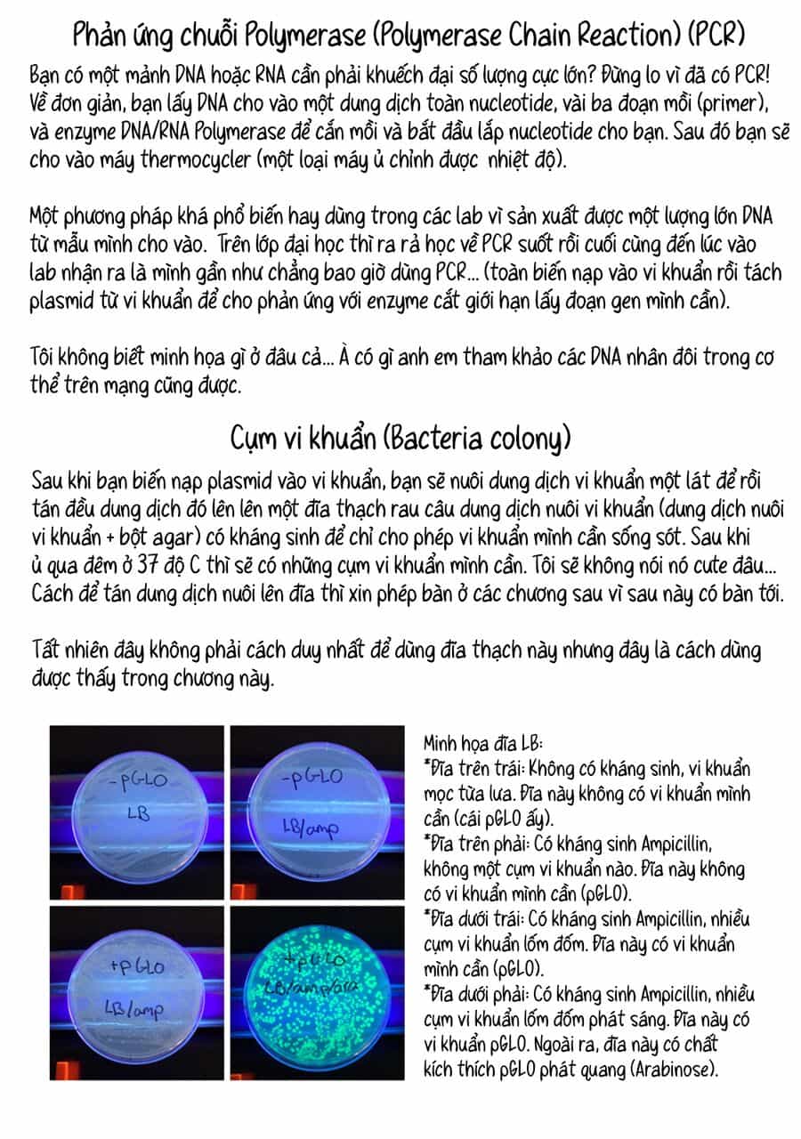 Lalalab☆ ~Gyaru, Khoa Học, Và Thanh Xuân!~ - Chương 4 - ảnh 11