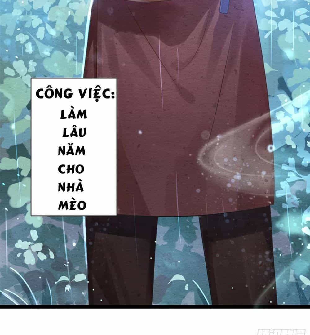 Làm Mèo Của Ta - Chương 0 - ảnh 4