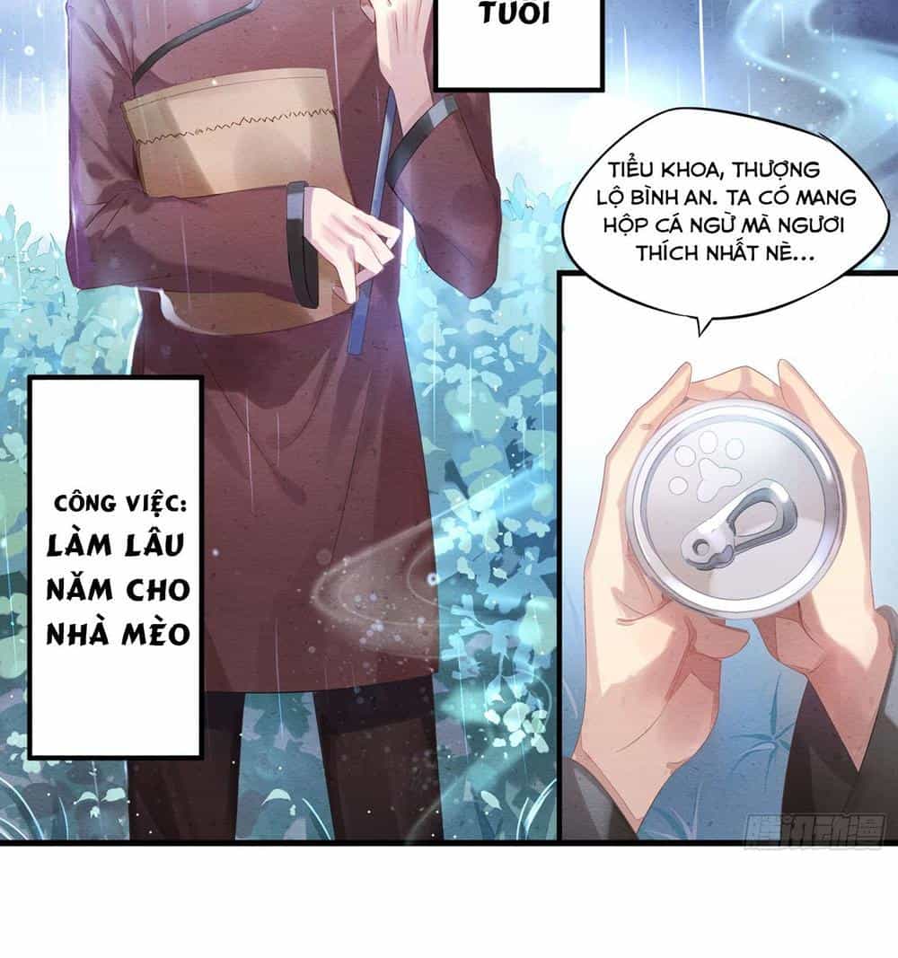Làm Mèo Của Ta - Chương 1 - ảnh 5