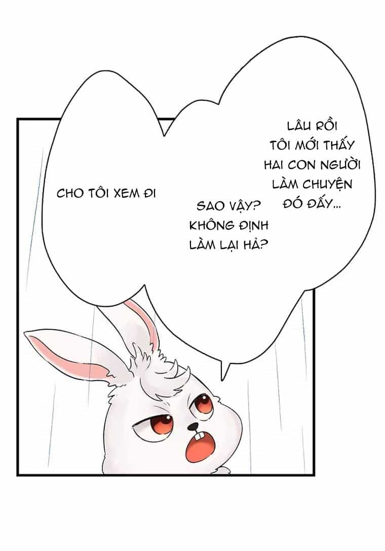 Làm Tình Trong Một Thế Giới Mà Điều Đó Là Điều Cấm Kỵ - Chương 41 - ảnh 7