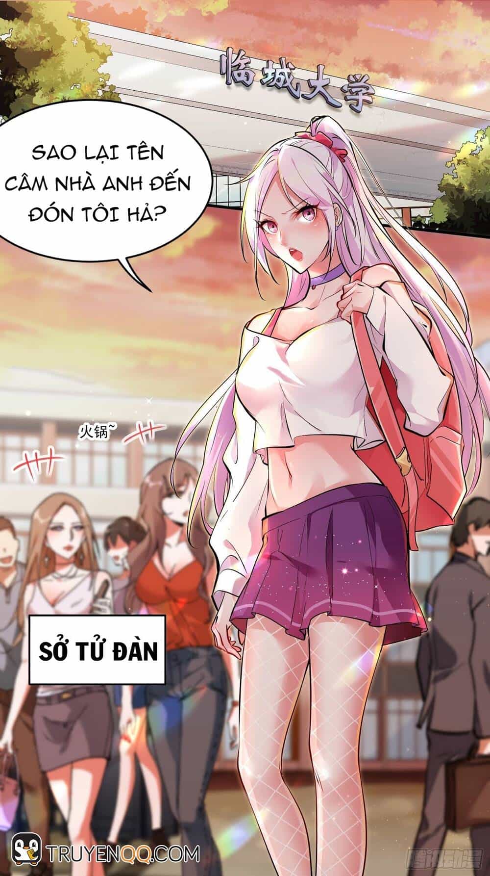 Lần Đầu Ở Rể - Chương 1 - ảnh 2