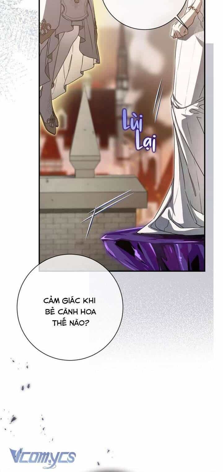 Lần Nữa Toả Sáng - Chương 109 - ảnh 12