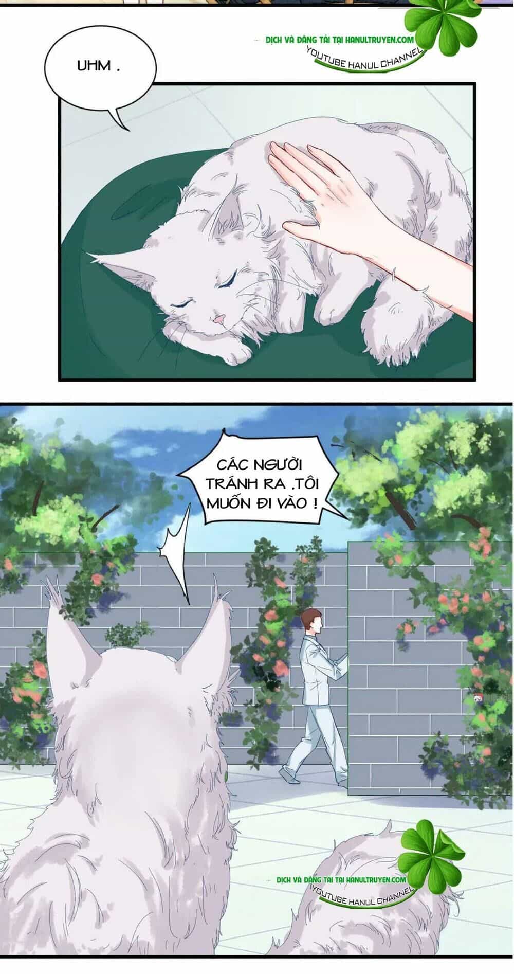 Lăng Thiếu! Nhẹ Một Chút, Đau - Chương 72 - ảnh 5
