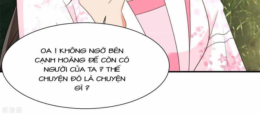 Lãnh Cung Phế Hậu Muốn Nghịch Thiên - Chương 228 - ảnh 17