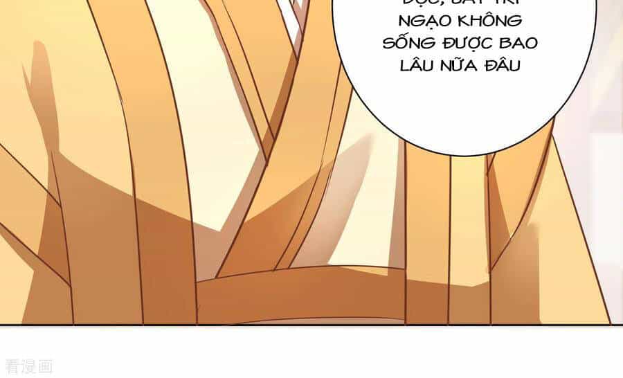 Lãnh Cung Phế Hậu Muốn Nghịch Thiên - Chương 244 - ảnh 14