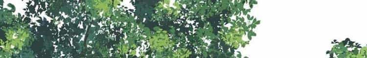 Lão Tổ Luyện Thể Mạnh Nhất Lịch Sử - Chương 41 - ảnh 229
